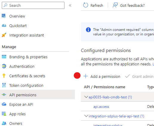 Add API permissions